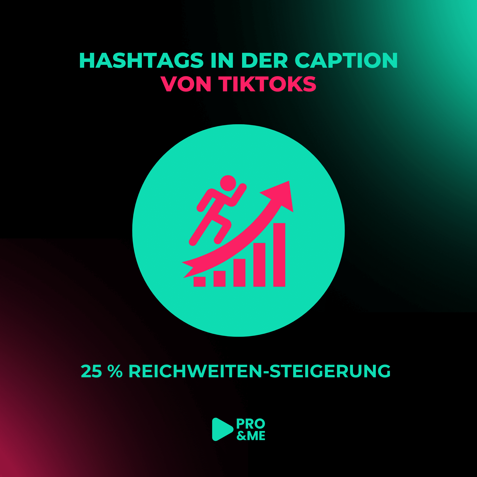 tiktok statistik